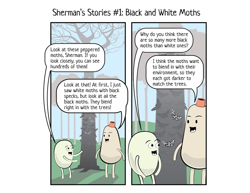 Actually, Sherman, there are more black moths than white ones because...-example-1