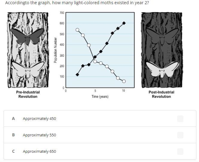 According to the graph, how many light-colored moths existed in year 2?-example-1