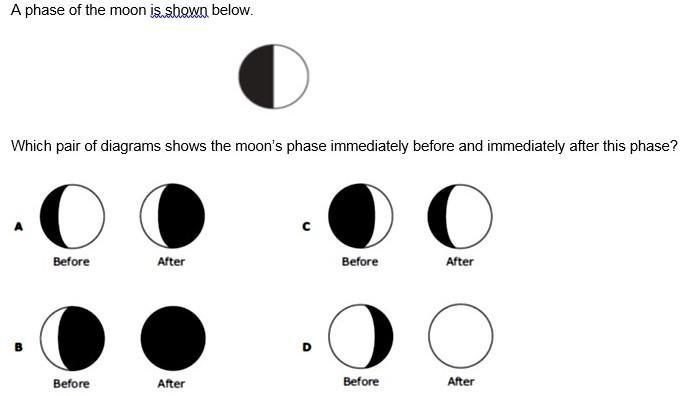 17) PLZ HELP MEEE ASAP i need help asap-example-1