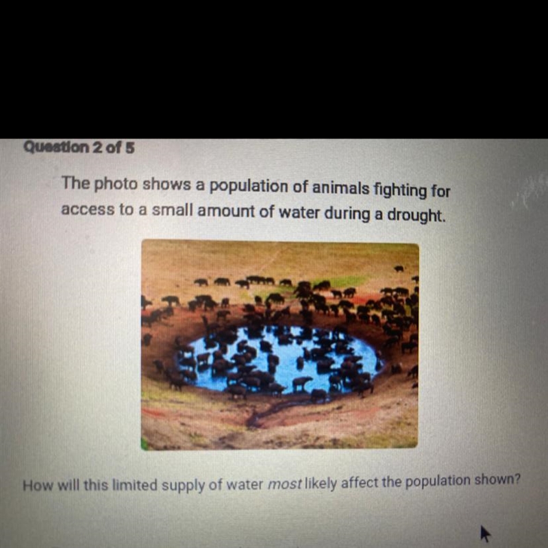 The photo shows a population of animals fighting for access to a small amount of water-example-1