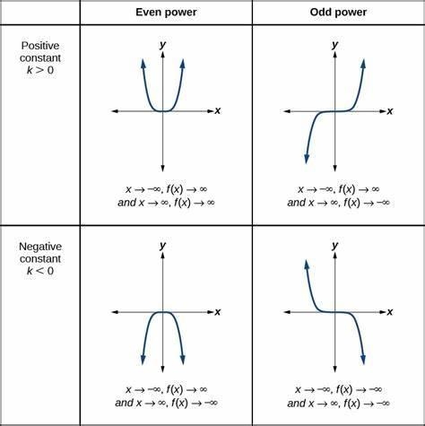 What’s g(x)=^2 end behavior-example-1