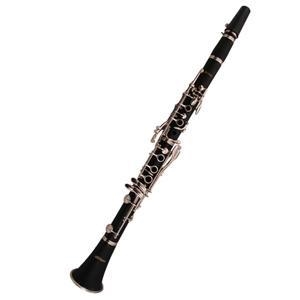 The clarinet is a percussion instrument. Question 4 options: True False-example-1