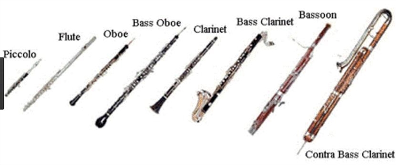 Woodwind instruments produce sound by plucking strings. Question 3 options: True False-example-1