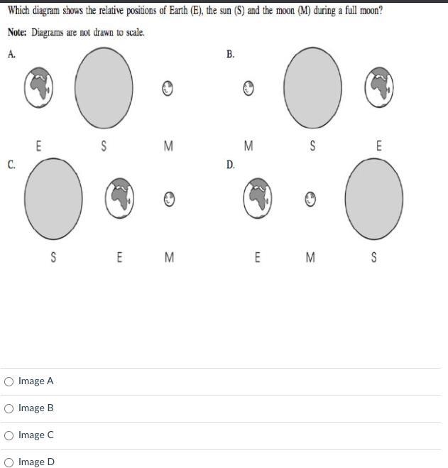 Please help me #1what is another word that means the same as moon in space options-example-4