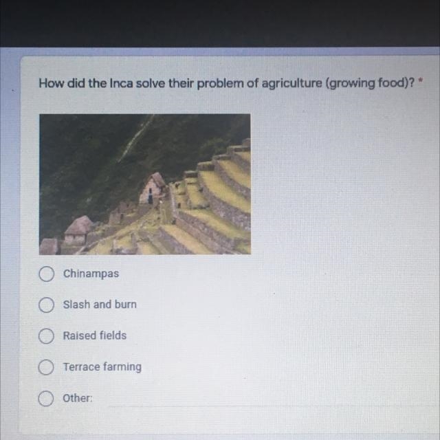 How did the Inca solve their problem of agriculture (growing food) 1. Chinapas 2. Slash-example-1