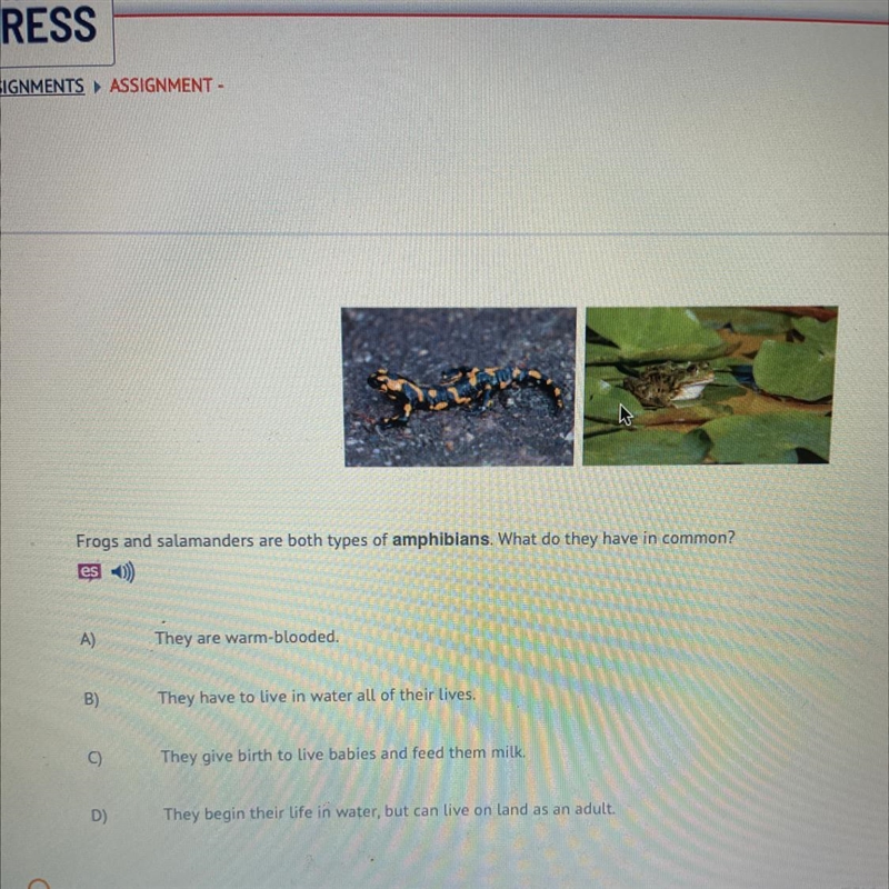 Frogs and salamanders are both types of amphibians. What do they have in common? A-example-1