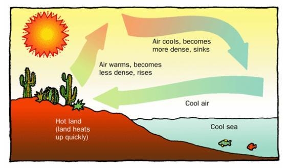 I need help plz soon as possible The atmosphere flows in large convection currents-example-2