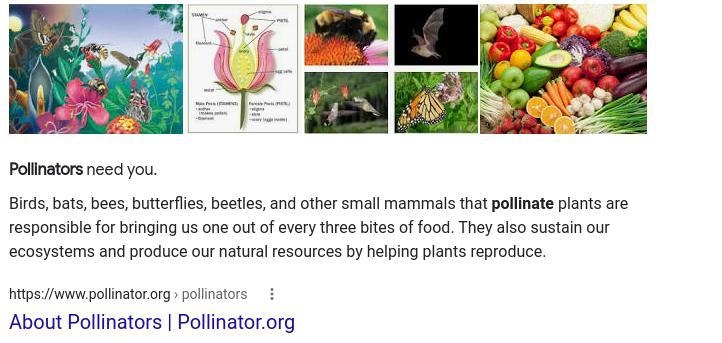 Why are pollinators inportant-example-1