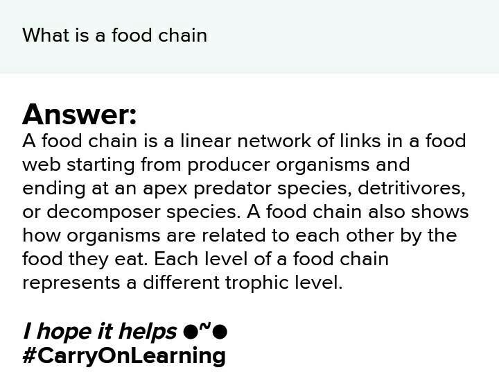 What is a food chain ​-example-1