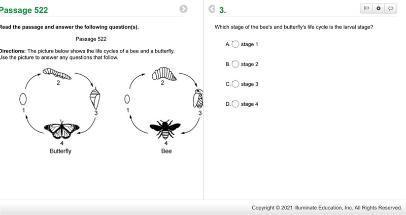 Which stage of the bee's and butterfly's life cycle is the larval stage?-example-1