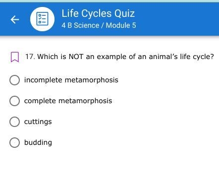 Which is NOT an example of an animal’s life cycle?-example-1