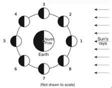 The diagram below shows the moon at positions 1 through 8 in its orbit around the-example-1