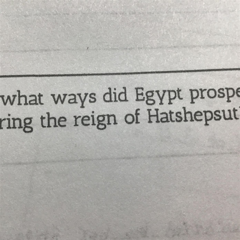 In what ways did Egypt prosper during the reign of Hatshepsut?-example-1