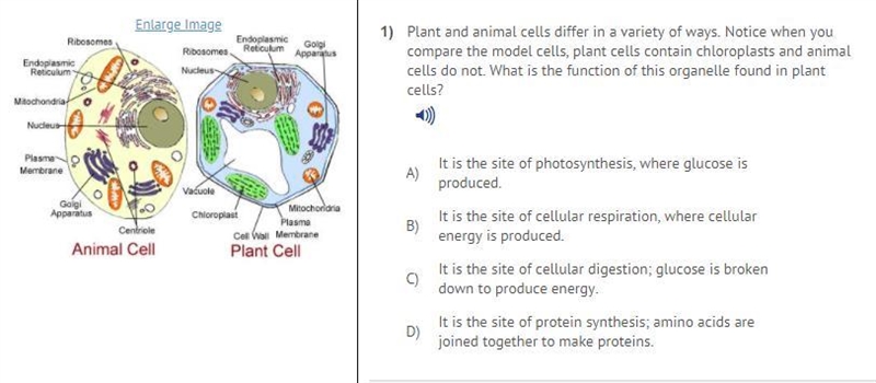 Can someone help me on this one-example-1