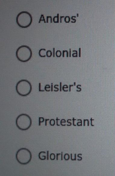 A revolt in New York,called ______ Rebellion, ended when its leader was executed for-example-1