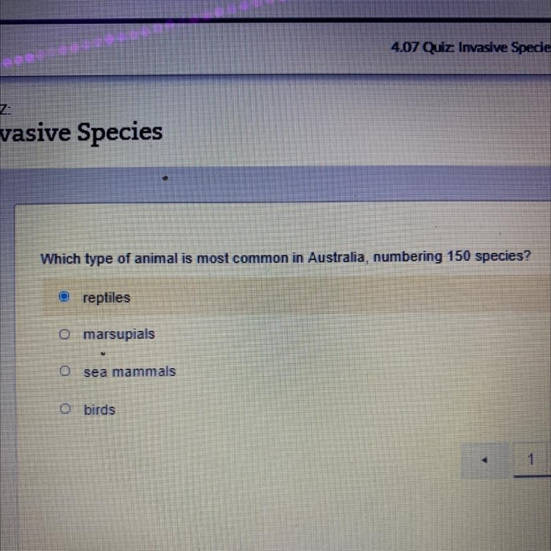 Which type of animal is most common in Australia, numbering 150 species? 1. Reptiles-example-1