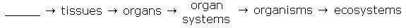 Living systems are organized in levels according to their structures and functions-example-1