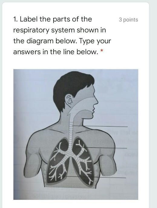 Help asap pleasee!!! what is the three parts.?!!​-example-1