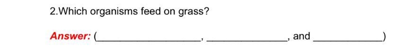 Which organism feed on grass?-example-1