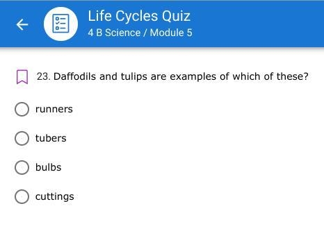 Daffodils and tulips are examples of which of these?-example-1