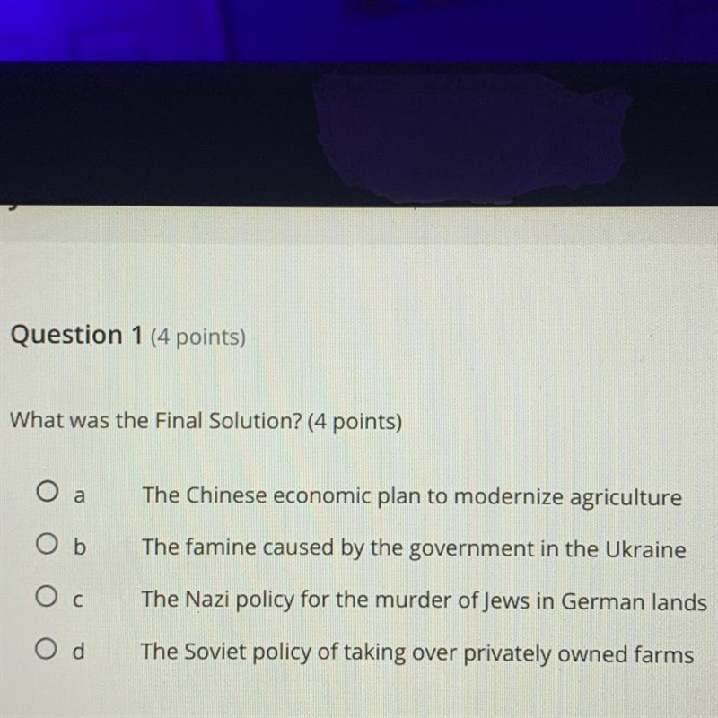 Help! Question 1 (4 points) What was the Final Solution? (4 points) a The Chinese-example-1