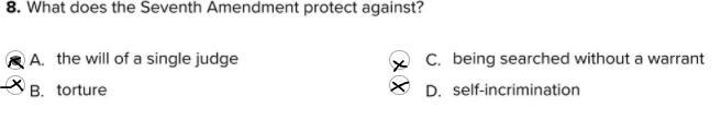 What is the seventh amendment protect against?-example-1