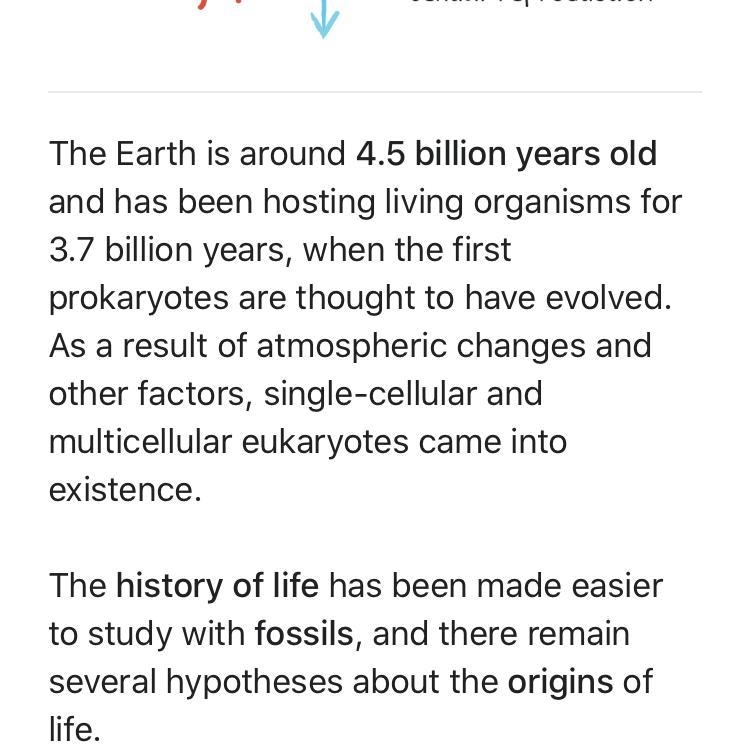 Explain when did life begin? (Scientific theory)-example-1