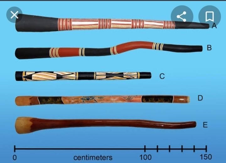 what instrument is used by the indigenous people of australia to accompany ceremonial-example-1