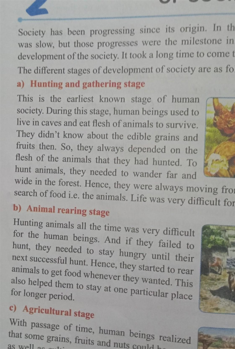 What are the features of hunting and gathering society ​-example-1