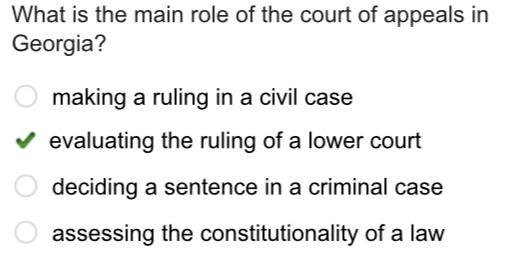 What is the main role of the court of appeals in Georgia ??? making a ruling in a-example-1