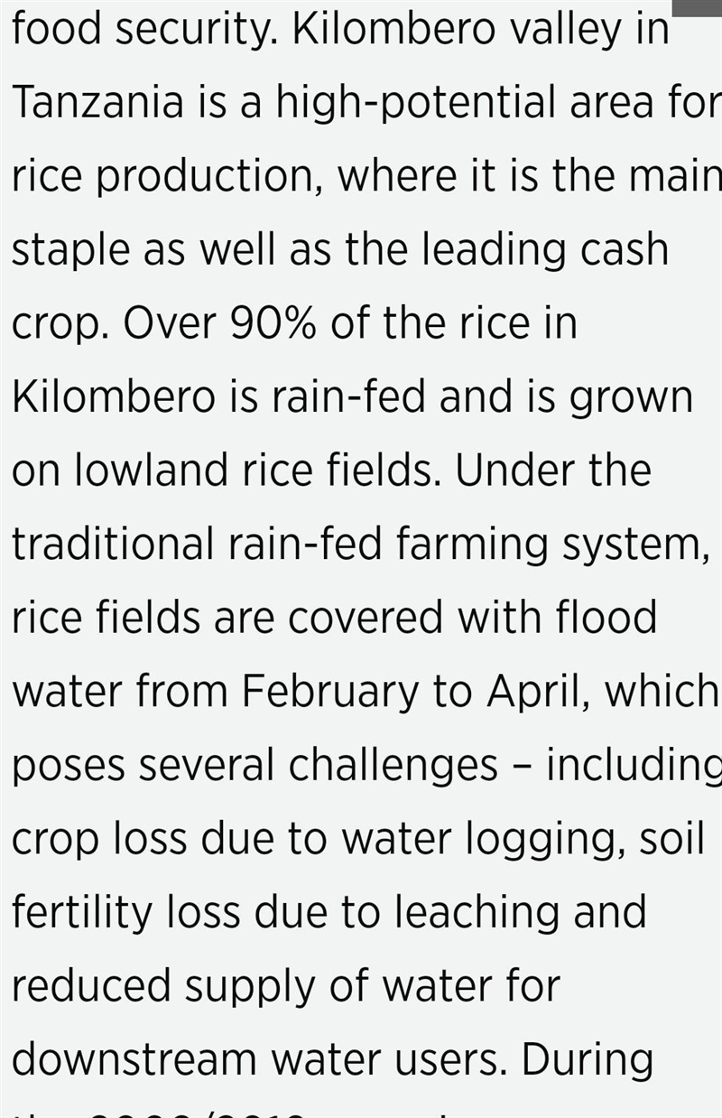 Name the major cashcrop grown in kilombero irrigation scheme in tanzania-example-1