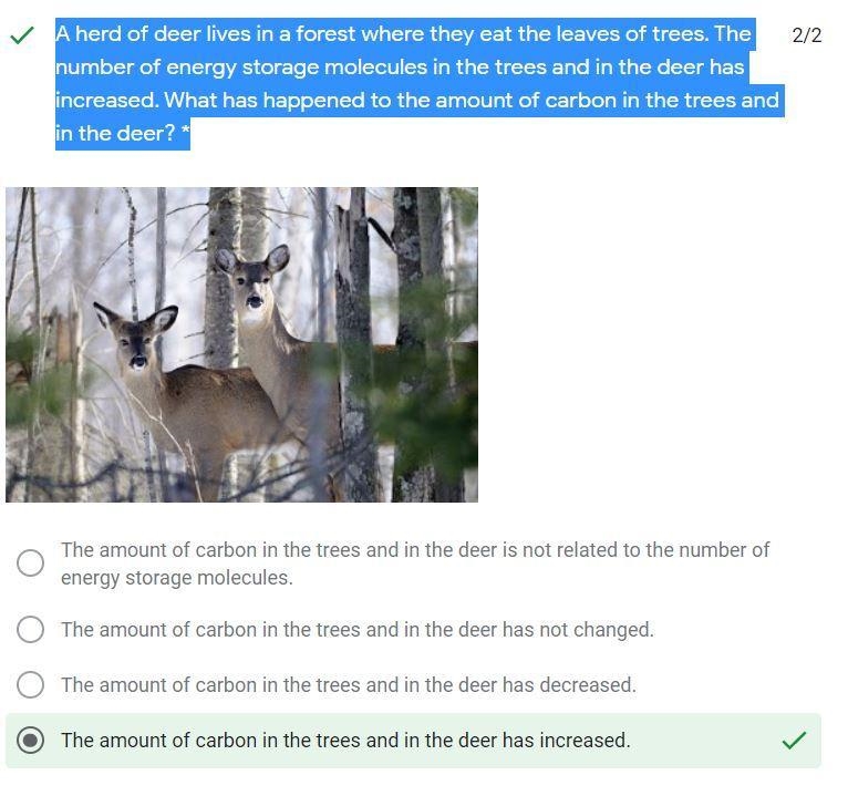 A herd of deer lives in a forest where they eat the leaves of trees. The number of-example-1