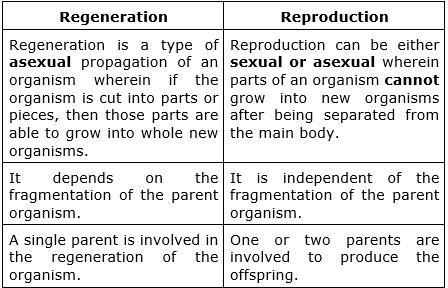 Compare regeneration and vegetative reproduction-example-1