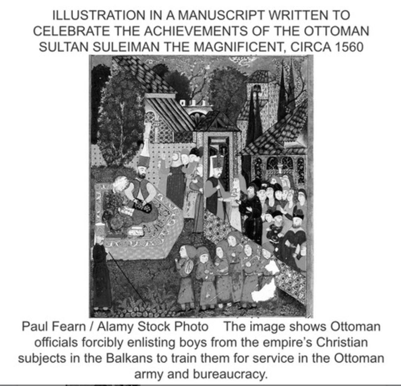 The inclusion of the image in the manuscript best illustrates which of the following-example-1