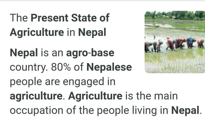 3. Answer the following questions. a) How is the present state of agro-based industry-example-1