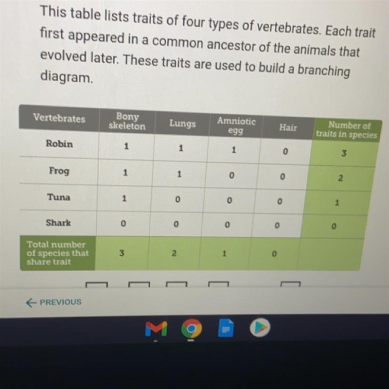 Based on the information in the table, which animal belongs in the spot labeled Con-example-1