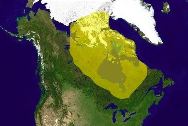 The shaded Area is known as?-example-1