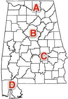 Which area on the map benefited MOST from the space program? A)1 (B)2 (C)3 (D)4 located-example-1