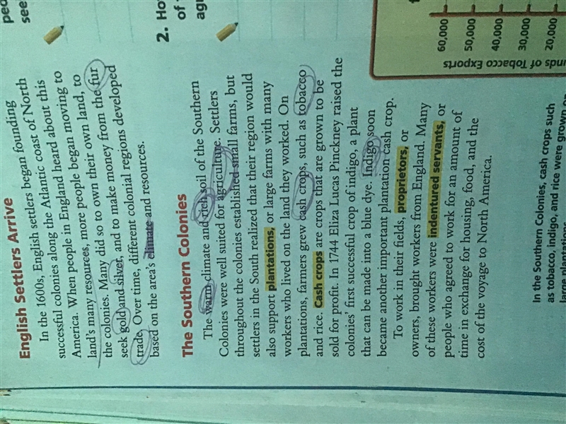 PLZZZ HELP ME WRITE IN A SENTENCE How did geography (land) and climate (weather) affect-example-2