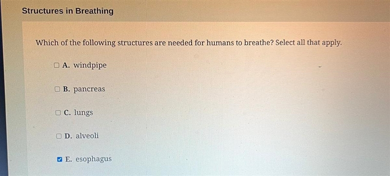 Which of the following structures are needed for humans to breathe-example-1