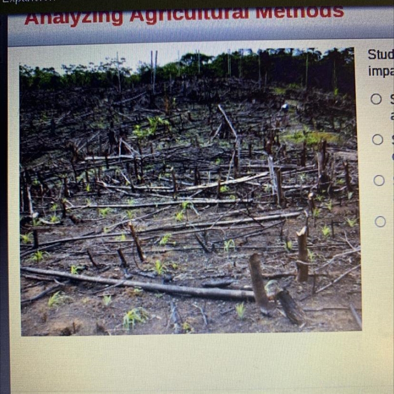 Study the image. Which statement best explains the impact of slash-and-burn agriculture-example-1