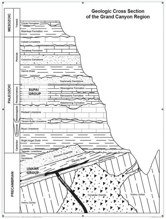 Plz Help I will give 100 Points Interpret the bottom half of the cross section below-example-1