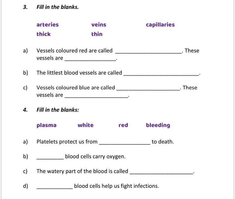 Please help me with this questions-example-1