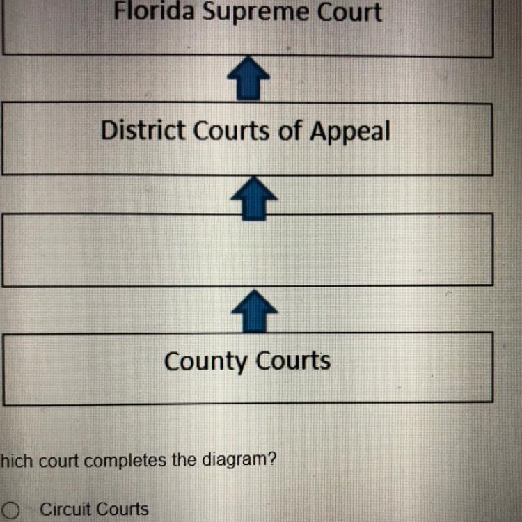 The diagram below provides details about the Florida court system. 1 Florida Supreme-example-1