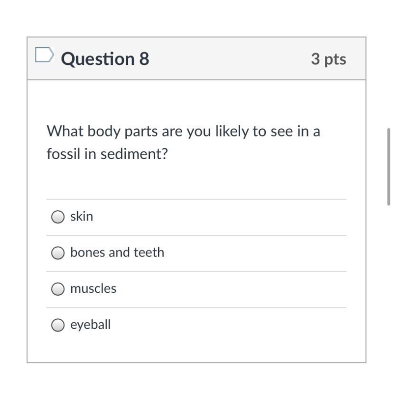 What body parts are you likely to see in a fossil in sediment? Group of answer choices-example-1