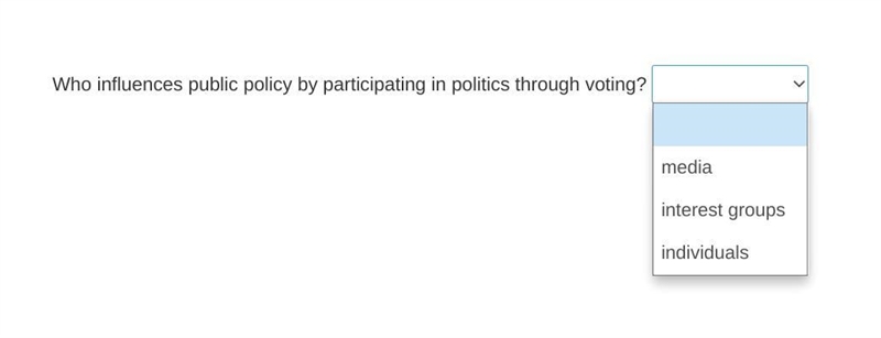 Who influences public policy by participating in politics through voting?-example-1