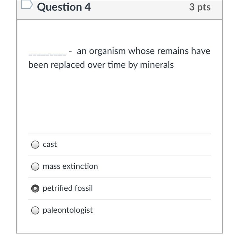 _________ - an organism whose remains have been replaced over time by minerals Group-example-1