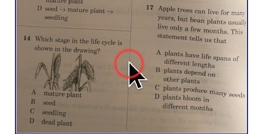 This is a last question can anybody answer this plz-example-2