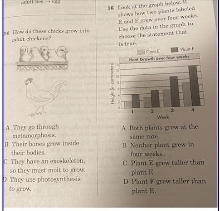 Can you help with this only and can write the question number with the answer next-example-2