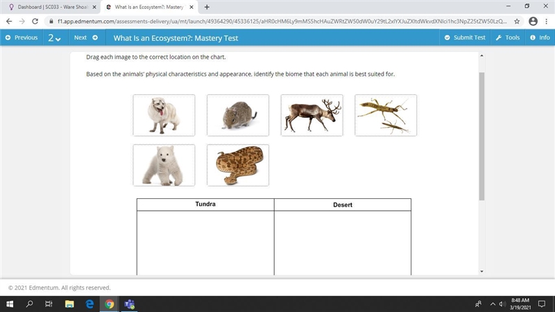 Drag each image to the correct location on the chart. Based on the animals’ physical-example-1